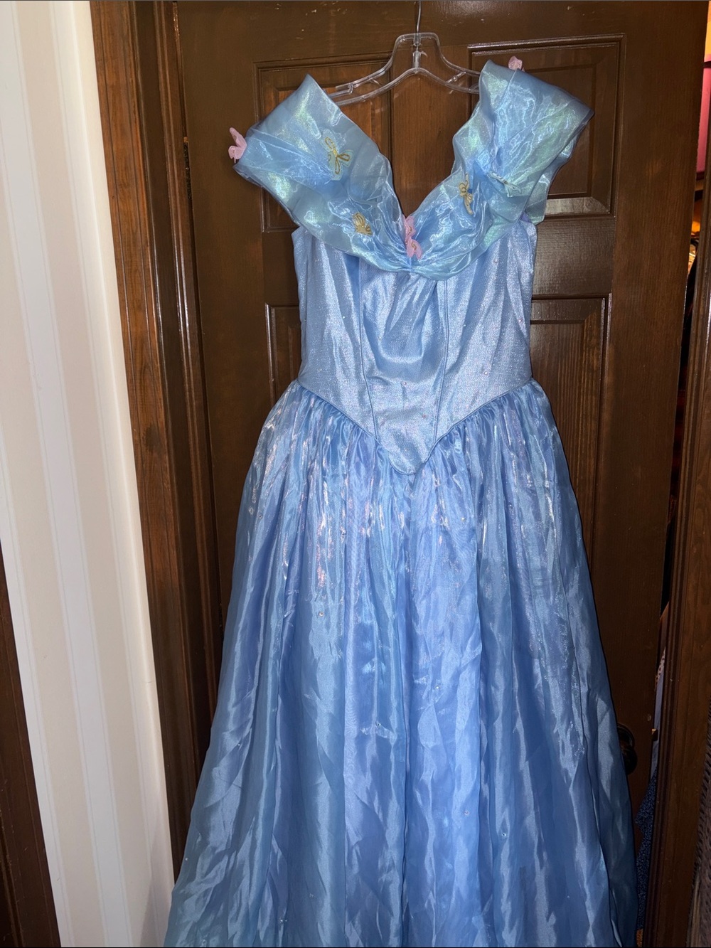 Disney Cinderella Adult Costume Gown
